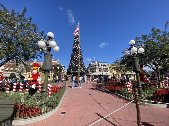 What Do Disney Fans Do In Summer? They Think About Christmas!